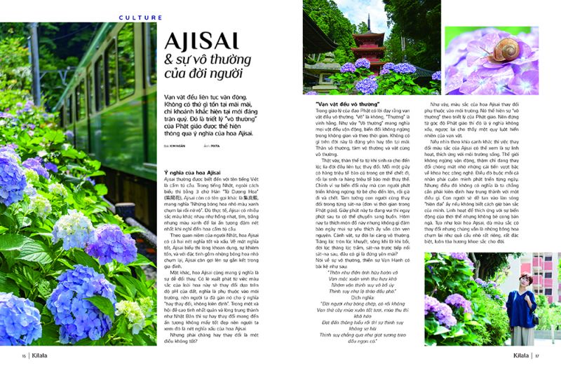 Ajisai - sự vô thường của đời người